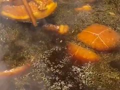 -王胖儿甏肉干饭(总店)