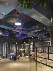 -酷嗒动物文化乐园(cutezoo西溪乐天城店)