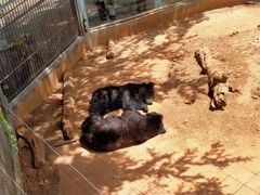 -昆明动物园