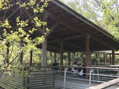 -西湖风景区-江洋畈生态公园