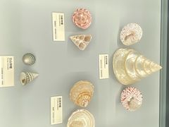 -天津古林古海岸遗迹博物馆