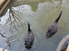 android_upload_pic-北京市海淀外国语实验学校