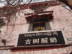 -古树酸奶(八廓南街店)
