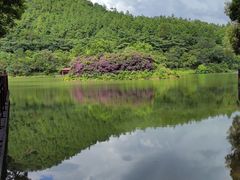 -广州白江湖森林公园