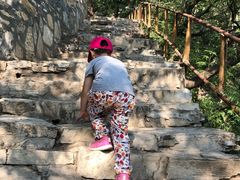 -北京上方山国家森林公园