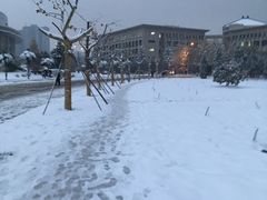 -陕西师范大学(雁塔校区)