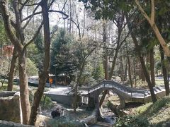 -东明山森林公园