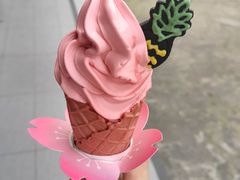 -麦当劳(新华路步步高店)
