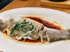 海鲈鱼-顺风汤馆·广府粤菜(江宸天街店)