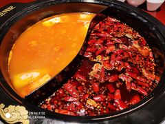 -蜀滋香鲜鱼火锅(黄金路店)