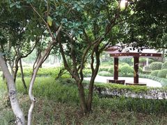 -上海延安饭店