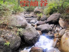 -云岫谷游猎自然风景区