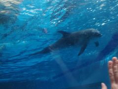 景点-波塞冬旅游度假区