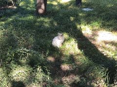 -长辛店二七公园