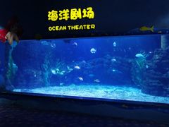 -郑州海洋馆