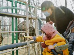 -长白岛森林公园