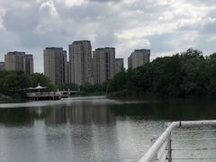-新江湾城公园