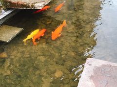 -前童古镇