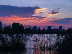 -艾溪湖湿地公园