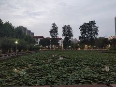 -四川大学(望江校区)