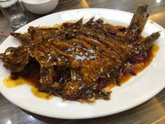 -林之六八·6886大连老菜馆