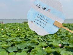 -七的湖·晚芳亭·阳澄湖农家菜·大闸蟹(莲花岛店)