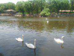 -石家庄市动物园