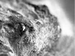 当年暗房俱乐部(上海店)-当年暗房俱乐部(上海店)