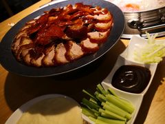 -守柴炉烤鸭(科华中路王府井店)