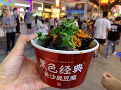 -黑色经典臭豆腐·湖南特产(步行街店)