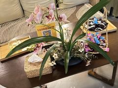 -施奈儿.洗头頭療.按摩SPA.采耳(上梅林店)