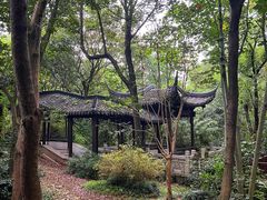 -上海佘山国家森林公园天马山园