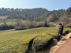 -敬亭山风景名胜区