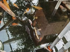 -上海大自然野生昆虫馆(东方明珠·爬宠昆虫探索中心)