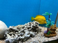 -北戴河圣蓝海洋公园