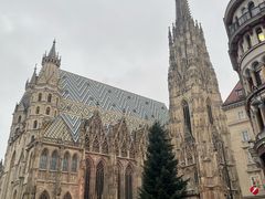 -斯蒂芬主教座堂(Stephansdom)