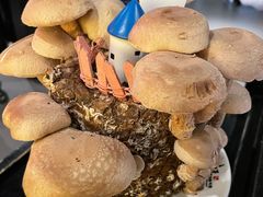 -捞王猪肚鸡火锅(财富中心店)