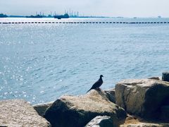 -巴拉湾海滩