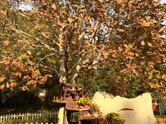 -香山公园-东宫门售票处