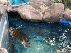 -成都浩海立方海洋公园