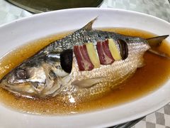 酒香鲥鱼-顺风海鲜港(长寿路店)