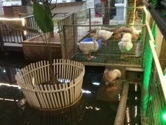 -鹅城