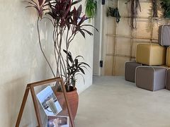 -白茶原·一片叶子