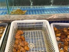 -骏莱海鲜鱼港(五角场店)
