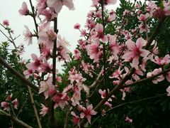 -漩门湾国家湿地公园