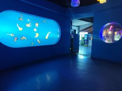 -太平洋海底世界