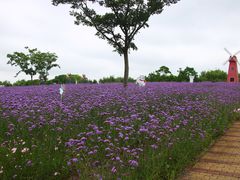 -同里国家湿地公园