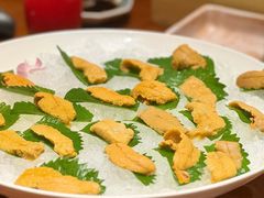 -月龍吟(朝龙汇店)