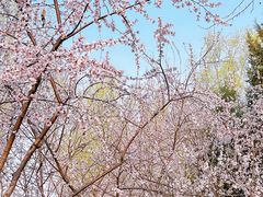 -东升八家郊野公园