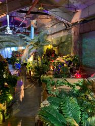 -恐龙探索乐园(磁器口店)